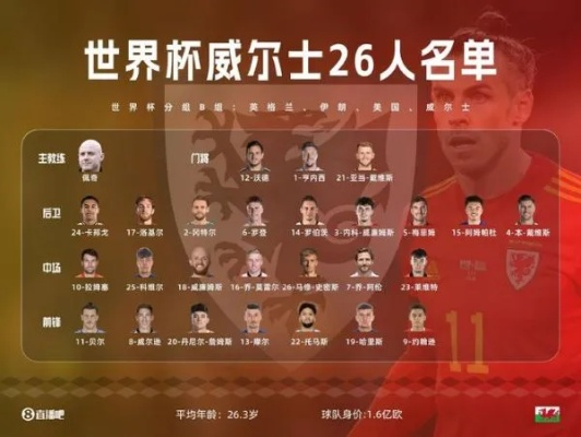 2014世界杯32强23人大名单(按号码排序)_百度文库 2014年世界杯参赛队伍-第2张图片-www.211178.com_果博福布斯