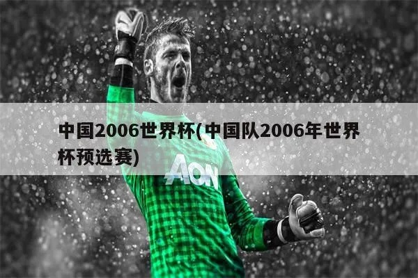 中国2006世界杯 中国队2006年世界杯