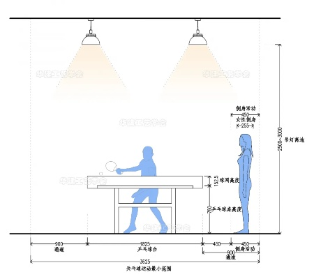 乒乓球台尺寸详解及标准尺寸图片分享-第3张图片-www.211178.com_果博福布斯