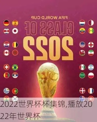 世界杯经典视频 世界杯经典视频2022-第3张图片-www.211178.com_果博福布斯